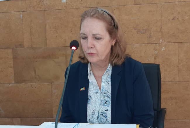 Krista VERSTRAELEN, Représentante Résidente d’Enabel en Guinée