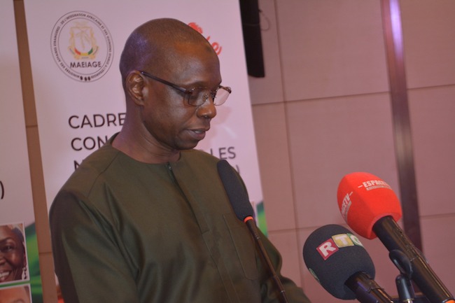 Mamadou Saitiou Barry, Directeur général guinéens établis à l’étranger