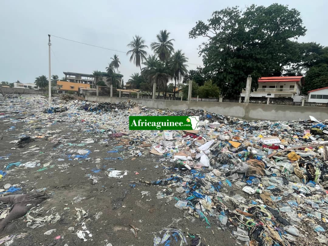 Djami Diallo: “Dès le 20 septembre, il sera interdit en Guinée de fabriquer des objets plastiques à usage unique…” Djami Diallo: “Dès le 20 septembre, il sera interdit en Guinée de fabriquer des objets plastiques à usage unique…”